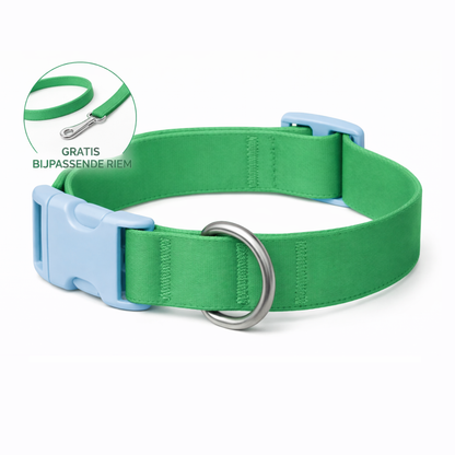 BestieCollar | Persoonlijke Hondenhalsband