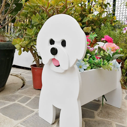 Bloempot - Bichon frisé