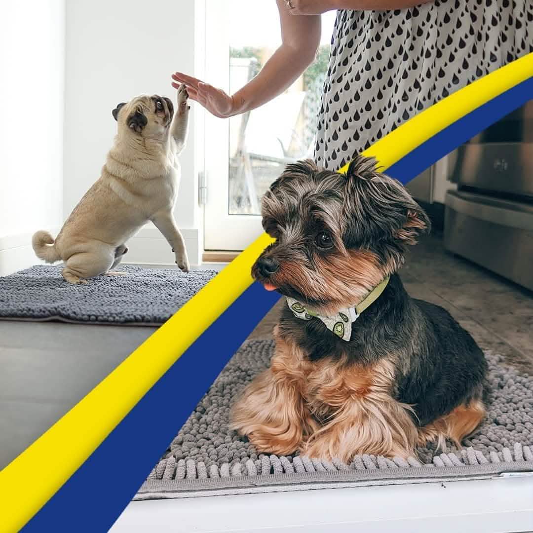 ModderVanger | Ultra-absorberende anti-modder hondenmat