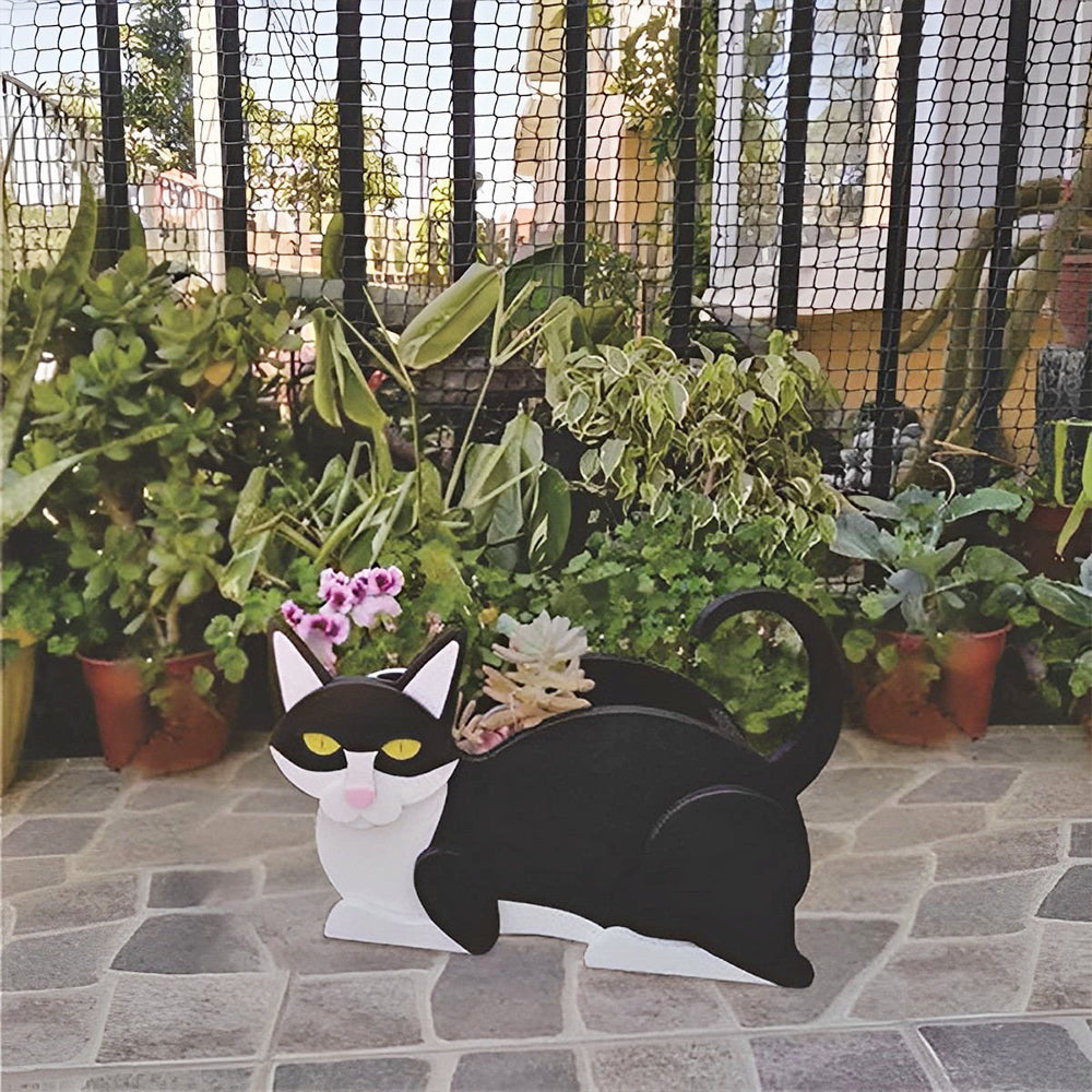 Bloempot - Zwart-witte kat