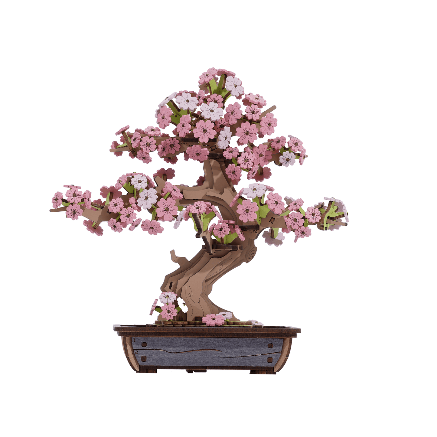 Bonsai Sakura & dennenbomen