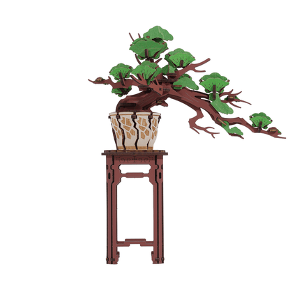 Bonsai Sakura & dennenbomen