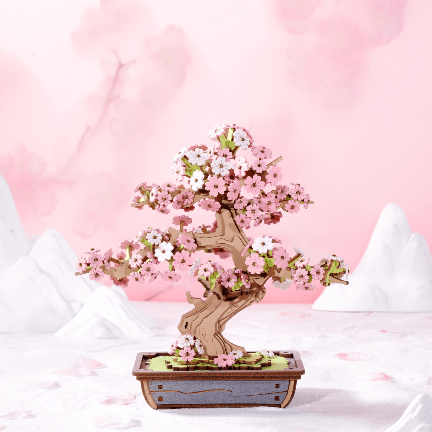 Bonsai Sakura & dennenbomen