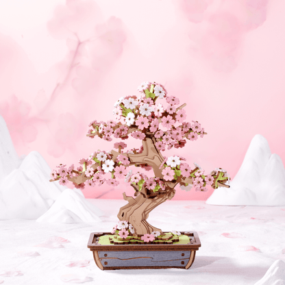 Bonsai Sakura & dennenbomen