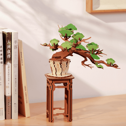 Bonsai Sakura & dennenbomen