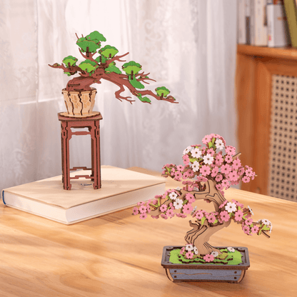 Bonsai Sakura & dennenbomen