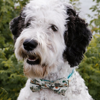 DapperPaws | Hondenhalsband met vlinderdas - Munt Pittige Dino