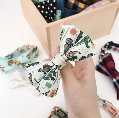 DapperPaws | Hondenhalsband met vlinderdas - Munt Pittige Dino