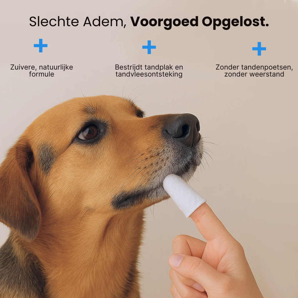 Dental Vingerdoekjes | Veilige & Gezonde Gebitsverzorging