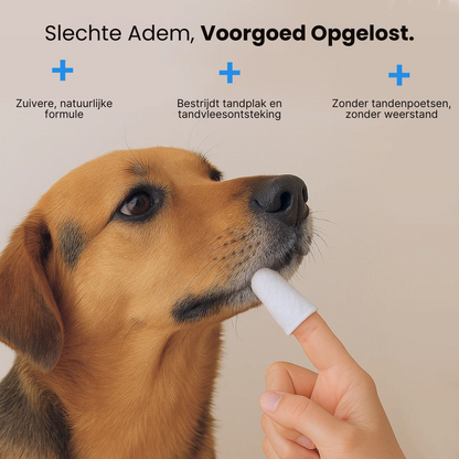 Dental Vingerdoekjes | Veilige & Gezonde Gebitsverzorging