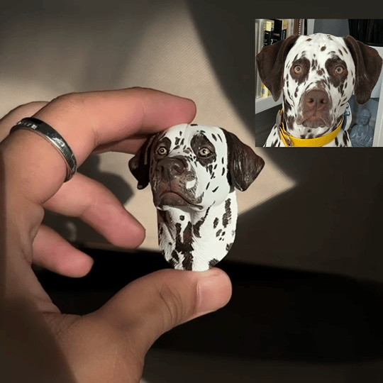 FiguraPet | Gepersonaliseerde Huisdier Magneet