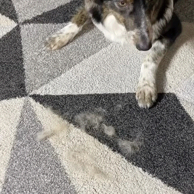 Magische Haarhandschoen