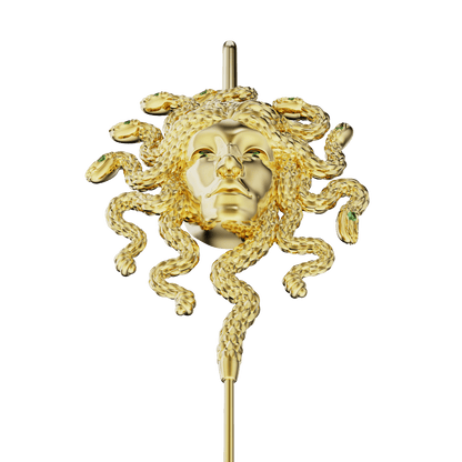 Blik van Medusa