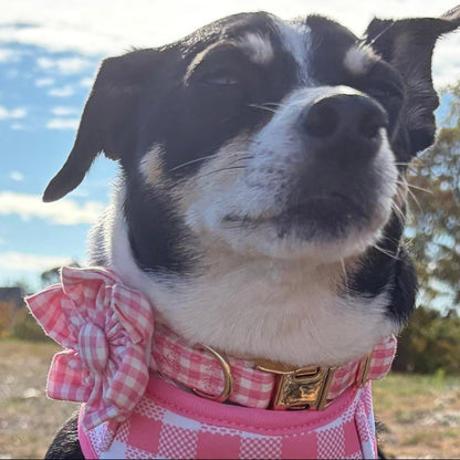BloomPaws | Verstelbare Hondenhalsband - Roze gingham