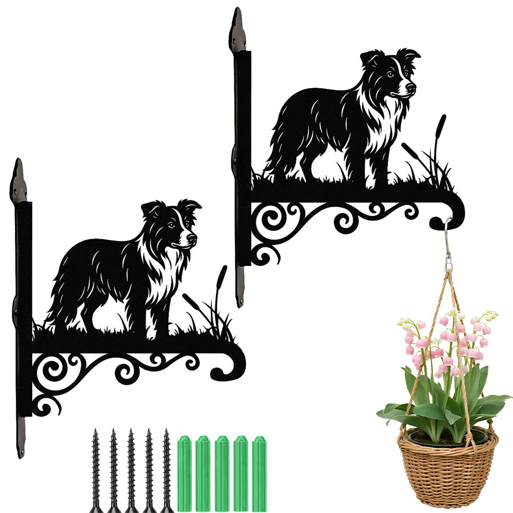 Metalen hangbeugel - Border collie