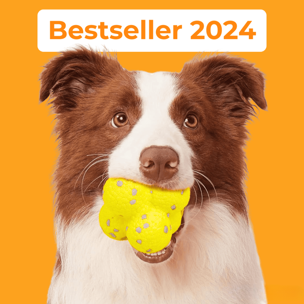 Kauzauber-Ball | Der Bestseller 2024