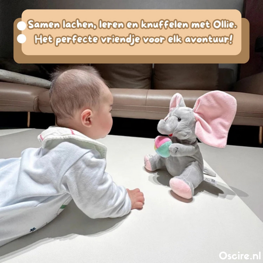 Ollie Olifant | Dé vrolijke olifantvriend