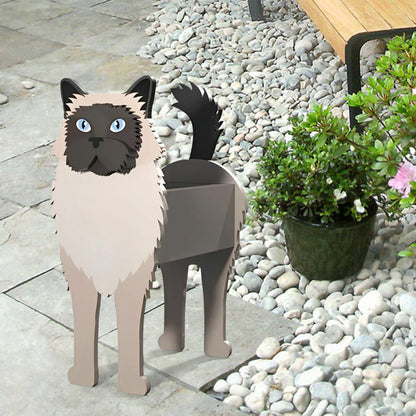 Bloempot - Birmese kat
