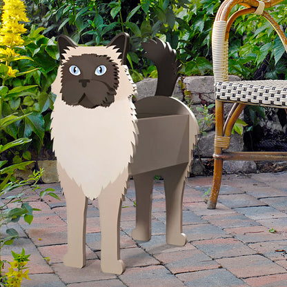 Bloempot - Birmese kat