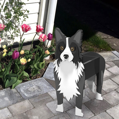 Bloempot - Bordercollie