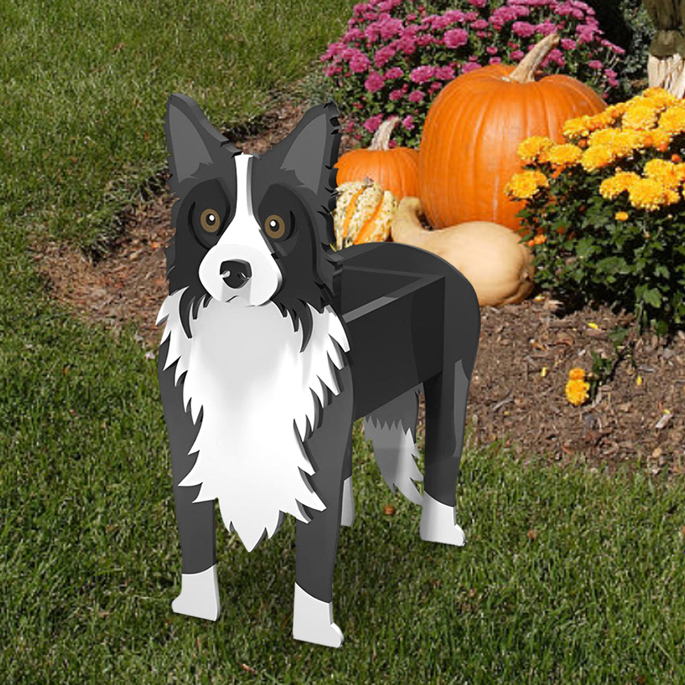 Bloempot - Bordercollie