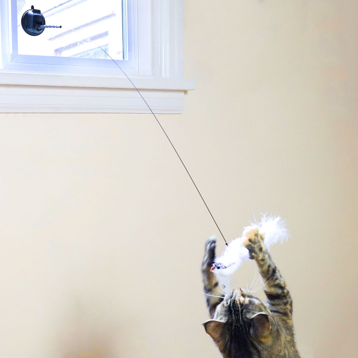 Interactieve Vogelsimulatie Katten Speelgoedset