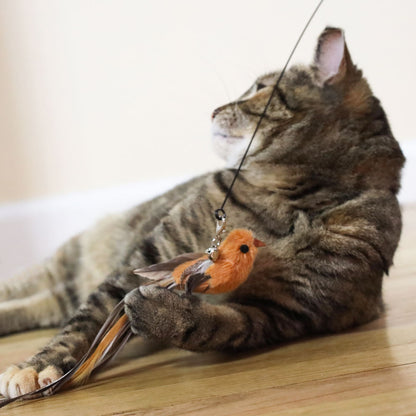 Interactieve Vogelsimulatie Katten Speelgoedset