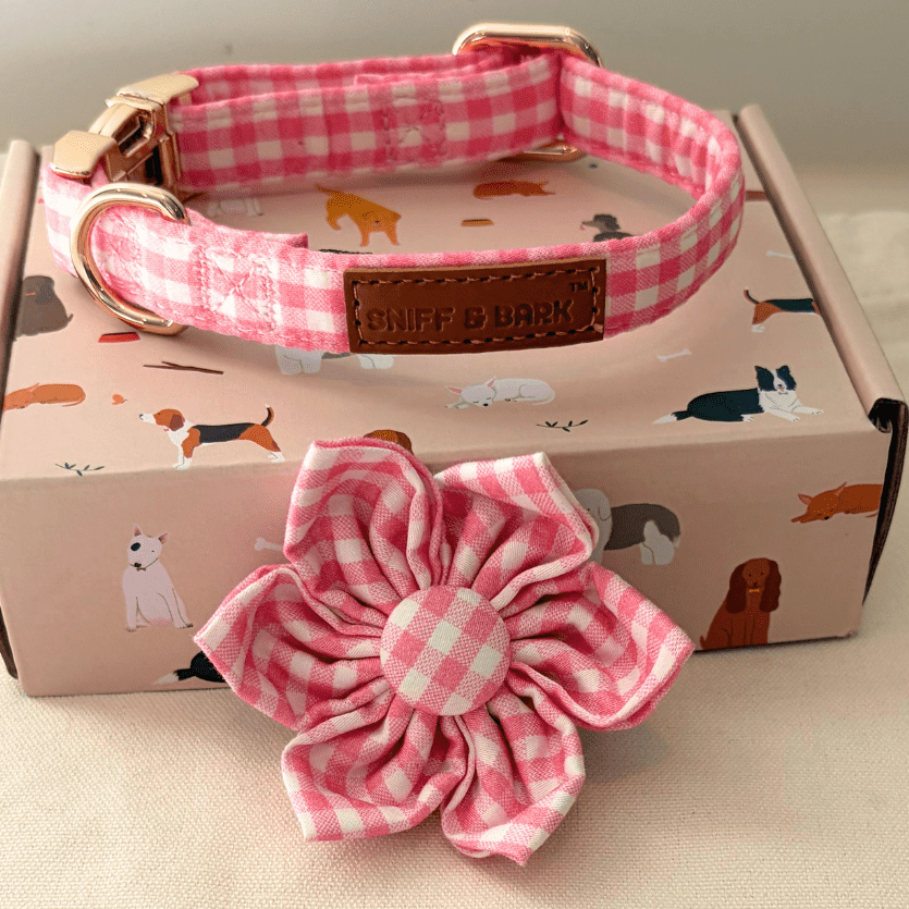 BloomPaws | Verstelbare Hondenhalsband - Roze gingham