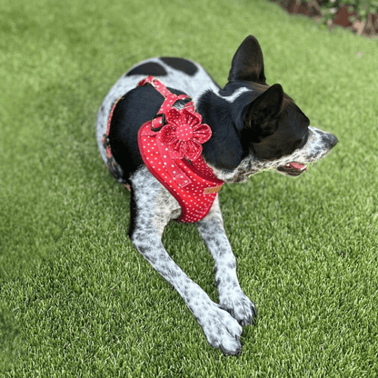 BloomPaws | Verstelbare Hondenhalsband - Rode Polka