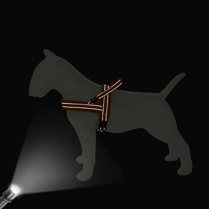Dog control pro 2.0 med antidrag