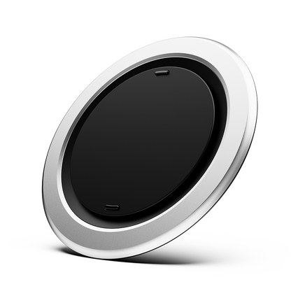  Zwart Zilver