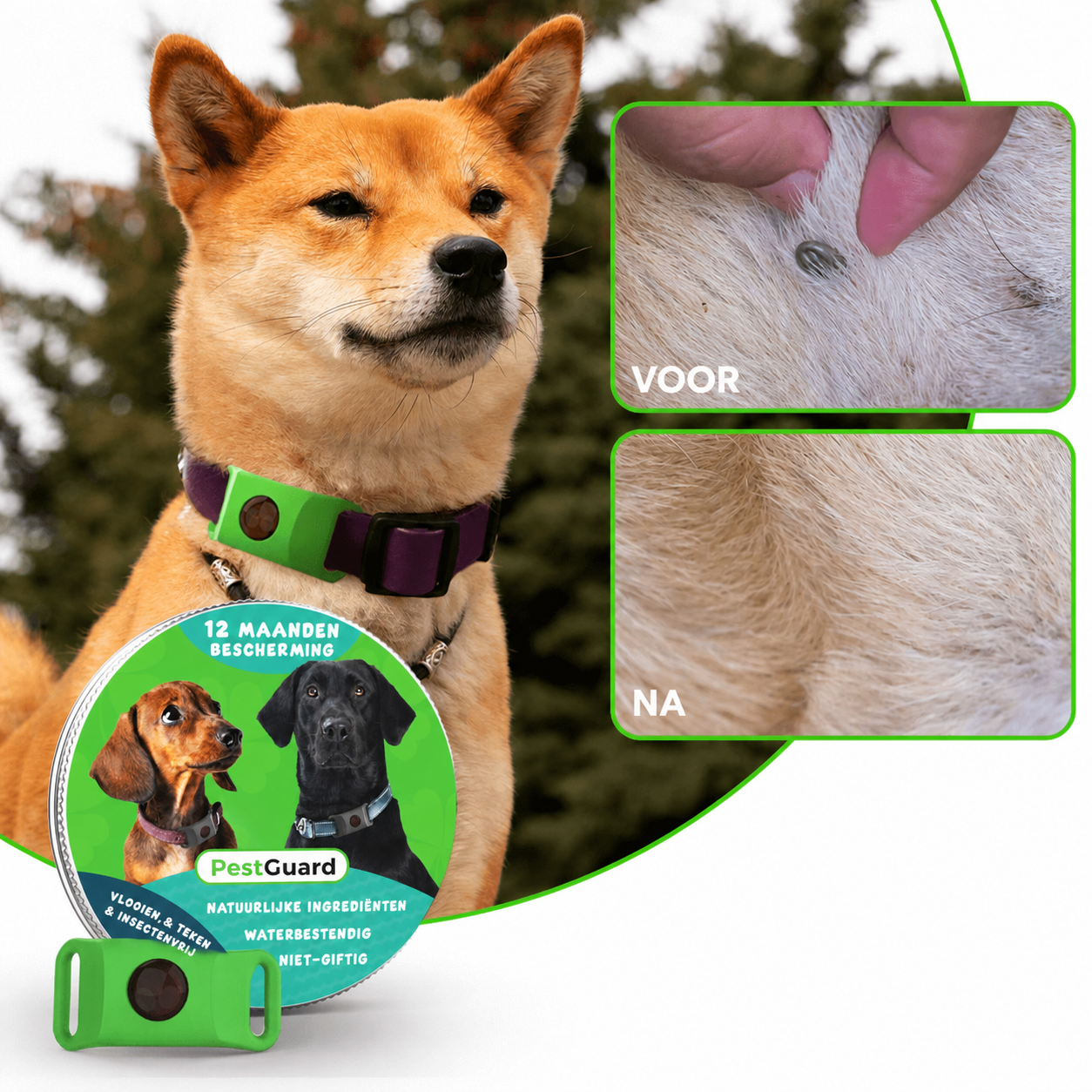 PestGuard | Natuurlijke vlooienpenning