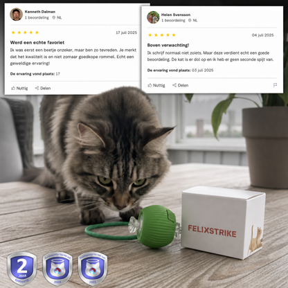 FelixStrike | Zelfstartend kattenspeeltje