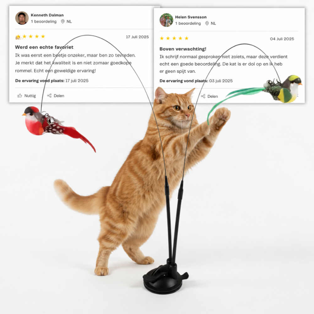 PounceWing | Zelfspelend jachtspeeltje
