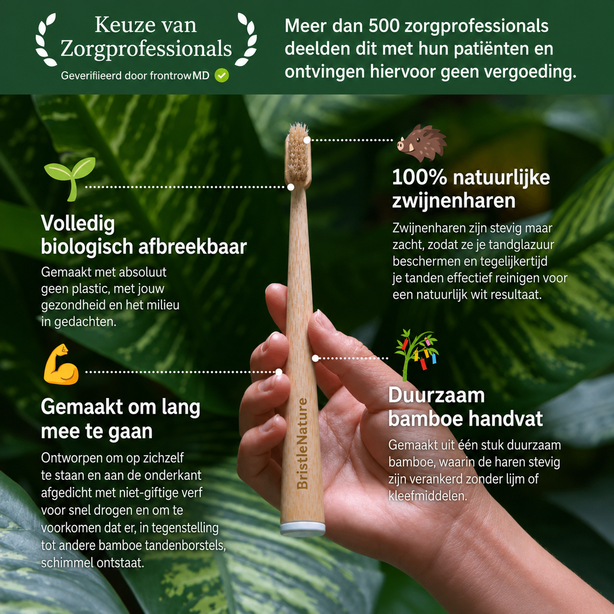 BristleNature | Zwijnenhaar tandenborstel