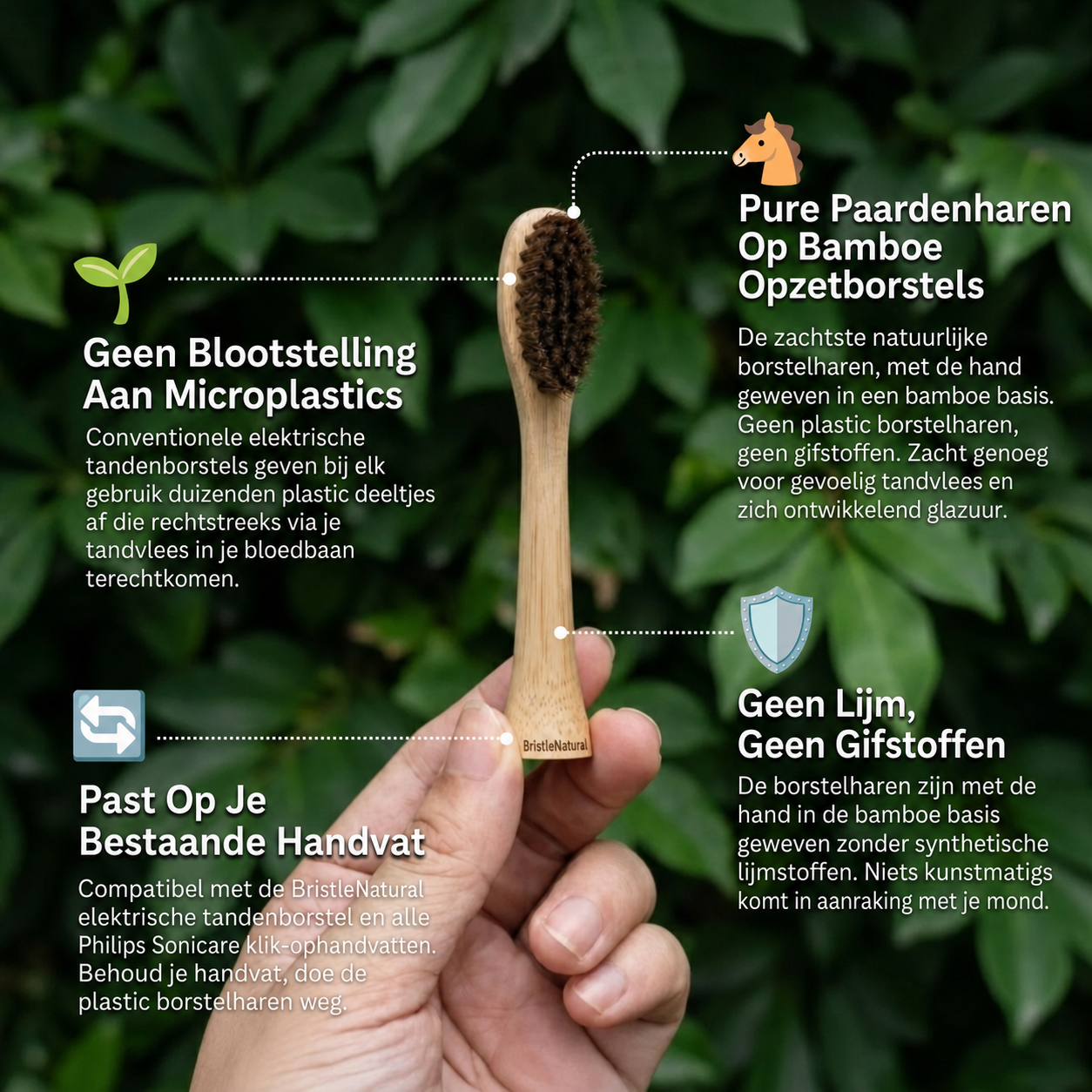 BristleNatural | Opzetborstels met paardenhaar