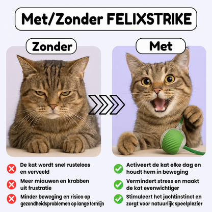FelixStrike | Zelfstartend kattenspeeltje