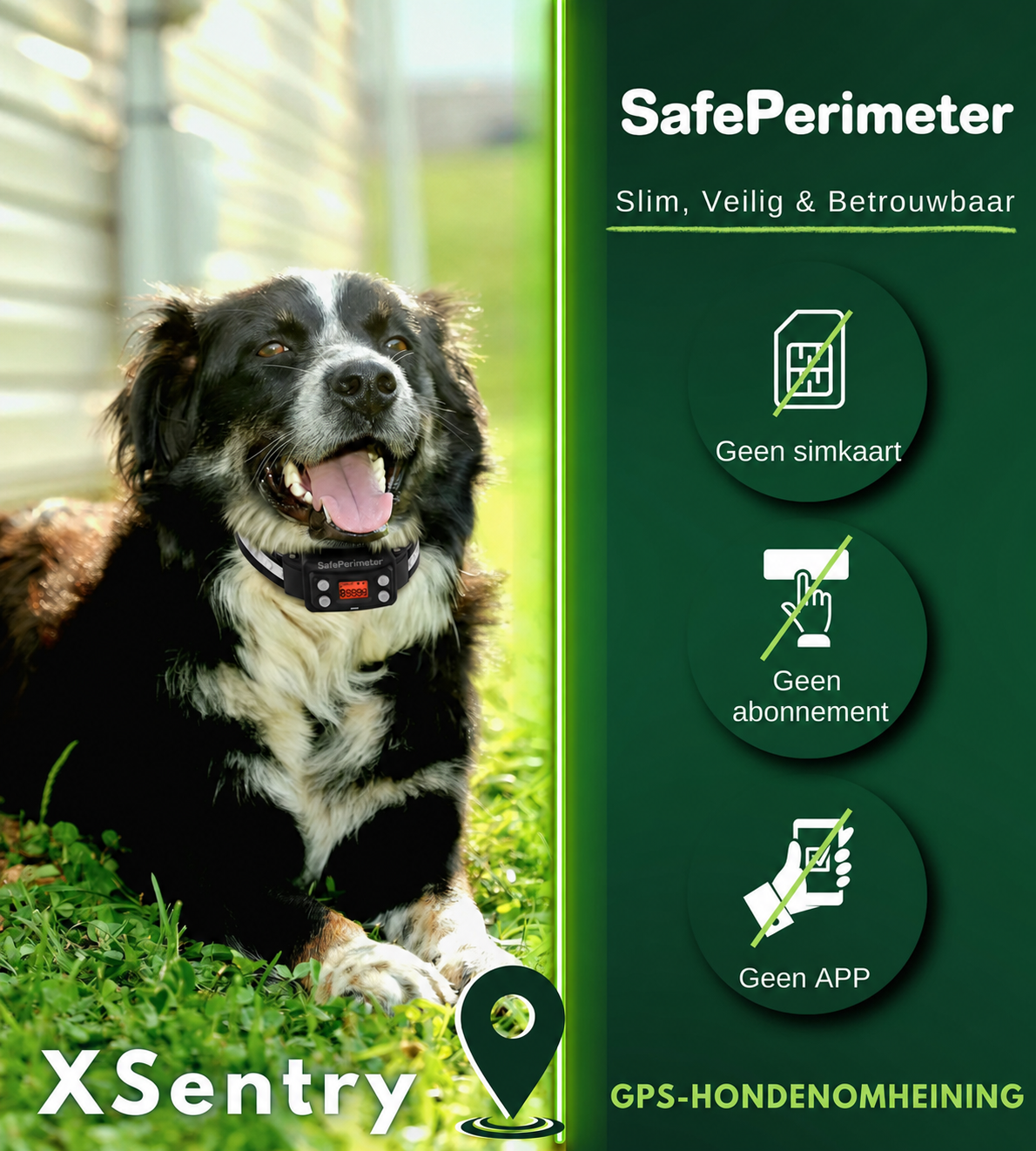 SafePerimeter | GPS-hondenomheining met scènedetectie