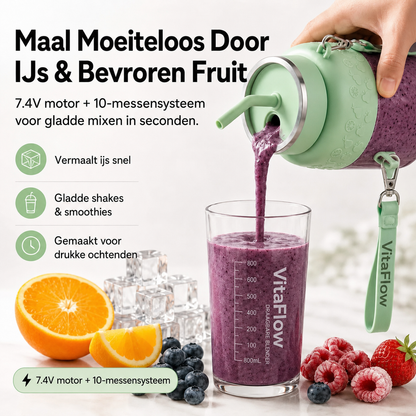 VitaFlow | 10-mes smoothieblender