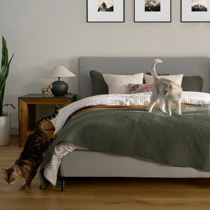FURRFREE Dekbedovertrekset – Huisdierhaar-afstotend voor gezinnen met honden of katten