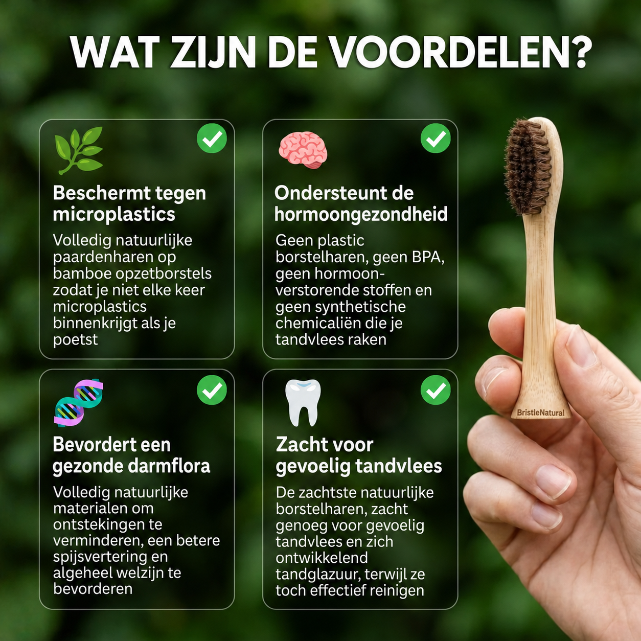 BristleNatural | Opzetborstels met paardenhaar