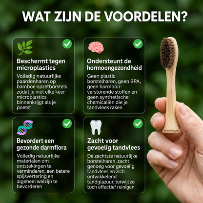 BristleNatural | Opzetborstels met paardenhaar