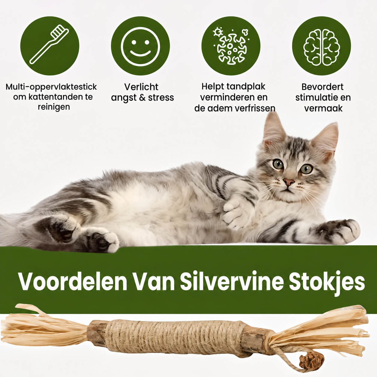 FelisVerde | Kauwstick met galvrucht