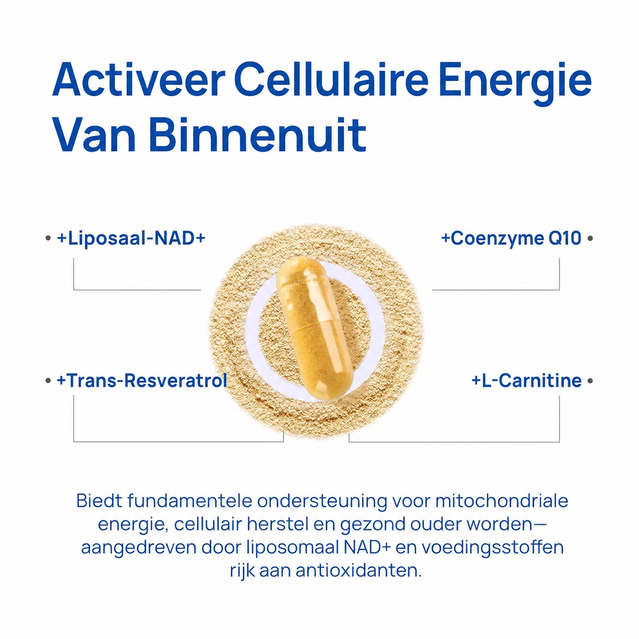 VitalCore | Ondersteunt het energieniveau en het uithoudingsvermogen van mannen
