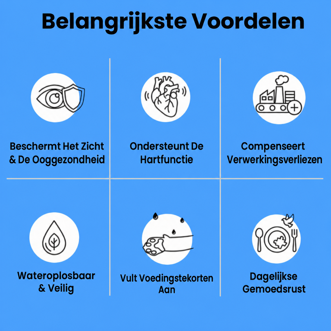 KittenSup | Taurinepoeder Supplement voor Katten