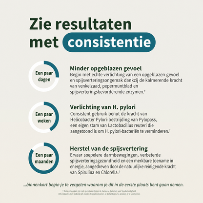 VitalEase | Ondersteunt een gezonde spijsvertering en vermindert een opgeblazen gevoel