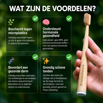 BristleNature | Zwijnenhaar tandenborstel