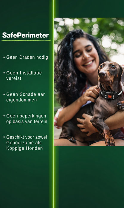 SafePerimeter | GPS-hondenomheining met scènedetectie