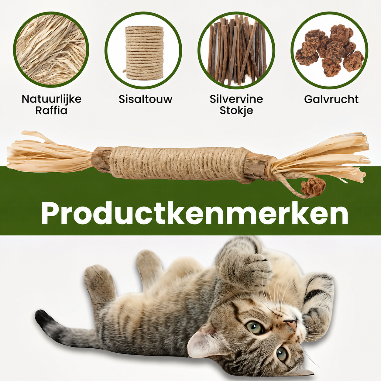 FelisVerde | Kauwstick met galvrucht