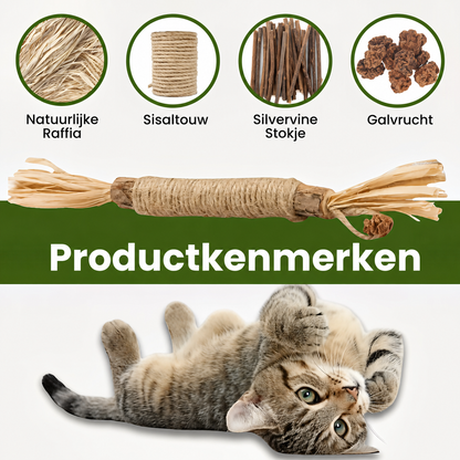 FelisVerde | Kauwstick met galvrucht